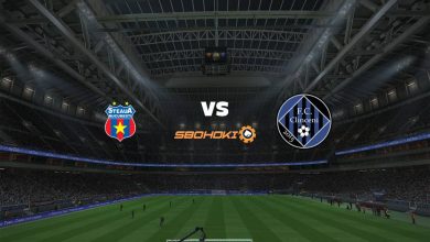 Photo of Live Streaming 
FCSB vs Academica Clinceni 7 Februari 2021
