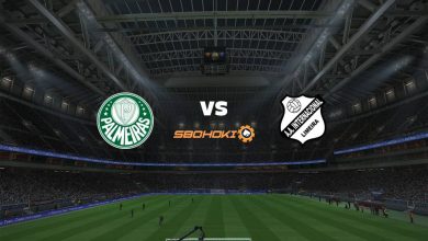 Photo of Live Streaming 
Palmeiras vs Inter de Limeira 30 April 2021