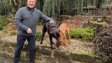 Photo of Rafael Benitez Selektif Menentukan Klub Baru