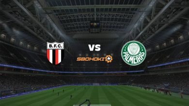 Photo of Live Streaming 
Botafogo SP vs Palmeiras 18 April 2021