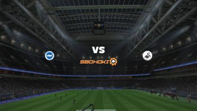 Photo of Live Streaming 
Brighton and Hove Albion vs Swansea City 22 September 2021